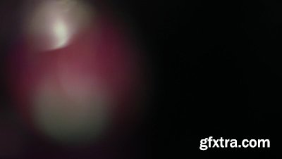 motionVFX - mLeaks [50 Professional Light Leaks Effects]