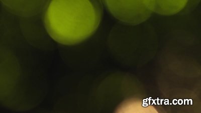 motionVFX - mLeaks [50 Professional Light Leaks Effects]