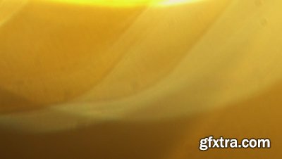 motionVFX - mLeaks [50 Professional Light Leaks Effects]
