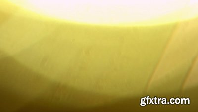 motionVFX - mLeaks [50 Professional Light Leaks Effects]