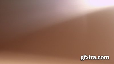 motionVFX - mLeaks [50 Professional Light Leaks Effects]