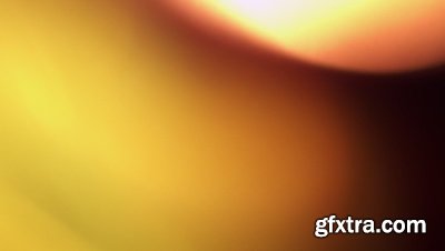 motionVFX - mLeaks [50 Professional Light Leaks Effects]