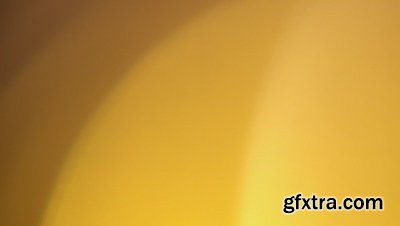 motionVFX - mLeaks [50 Professional Light Leaks Effects]