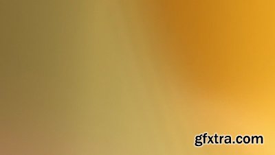 motionVFX - mLeaks [50 Professional Light Leaks Effects]