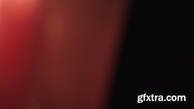 motionVFX - mLeaks [50 Professional Light Leaks Effects]