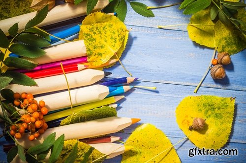 Pencils books concept back school autumn fruit - 15 UHQ JPEG