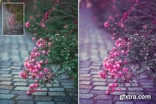 CM - Nature Ps Actions 452956 CM - Nature Ps Actions 452956