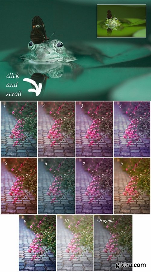 CM - Nature Ps Actions 452956 CM - Nature Ps Actions 452956