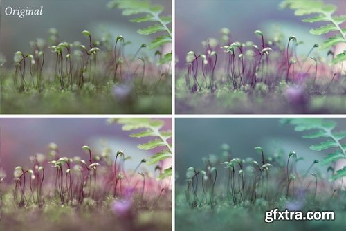 CM - Nature Ps Actions 452956 CM - Nature Ps Actions 452956