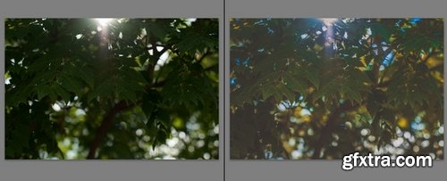 CM - dmilid presets 417030 CM - dmilid presets 417030