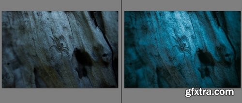 CM - dmilid presets 417030 CM - dmilid presets 417030