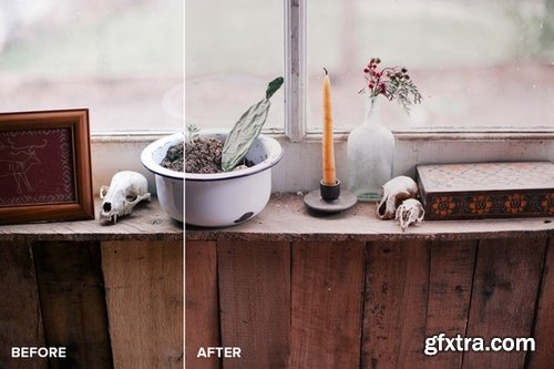 CM - FilmTone Natural Photoshop Actions 318508 CM - FilmTone Natural Photoshop Actions 318508