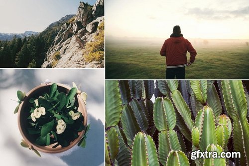 CM - FilmTone Natural Photoshop Actions 318508 CM - FilmTone Natural Photoshop Actions 318508