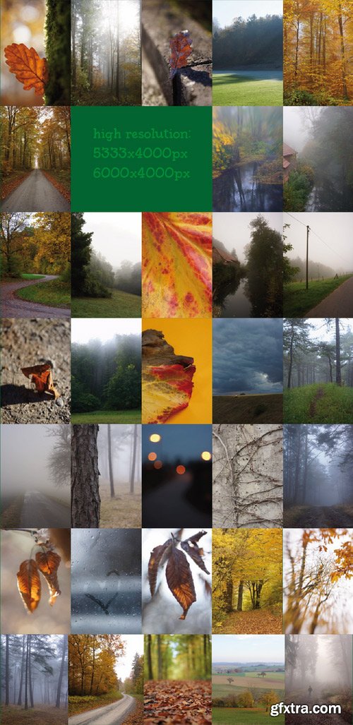 CM - SALE: Frost&Fog Photo Bundle 421525 CM - SALE: Frost&Fog Photo Bundle 421525