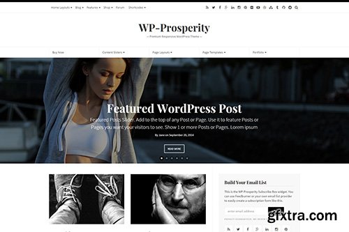 WP-Prosperity - WP-Prosperity v2.6 - Premium Responsive WordPress Theme