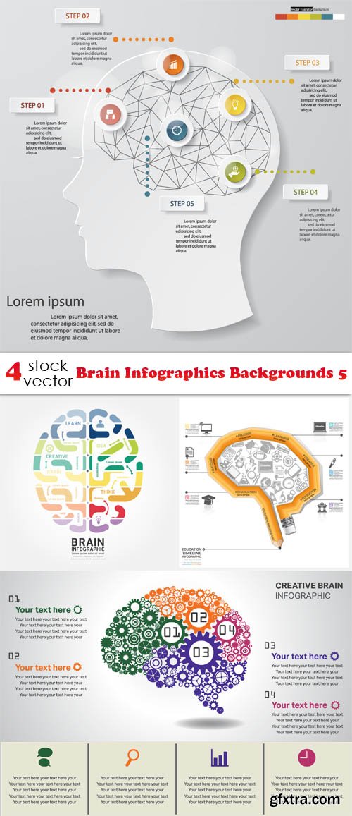 Vectors - Brain Infographics Backgrounds 5