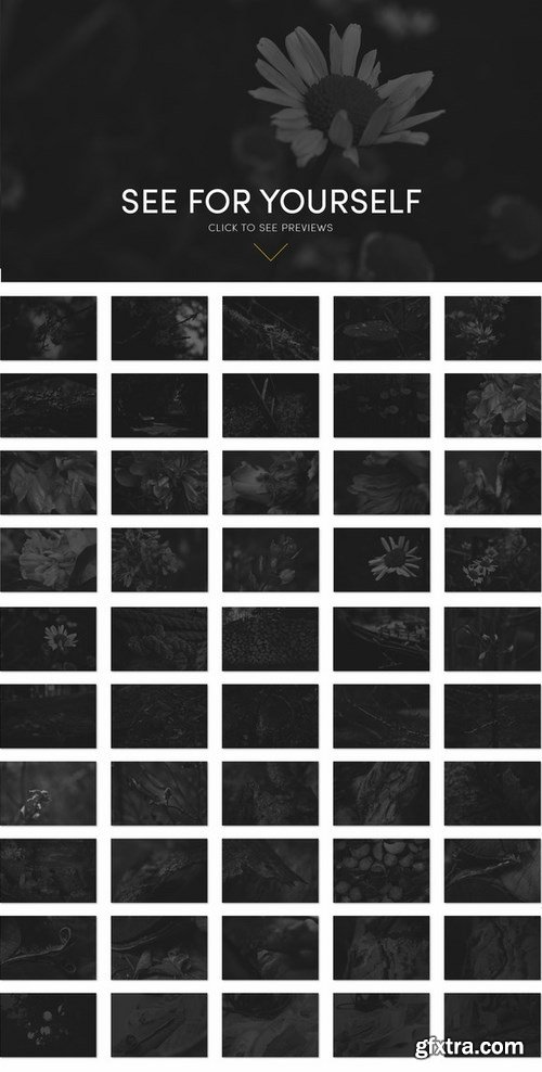CM - 100 Dark Black &amp; White Backgrounds 440545
