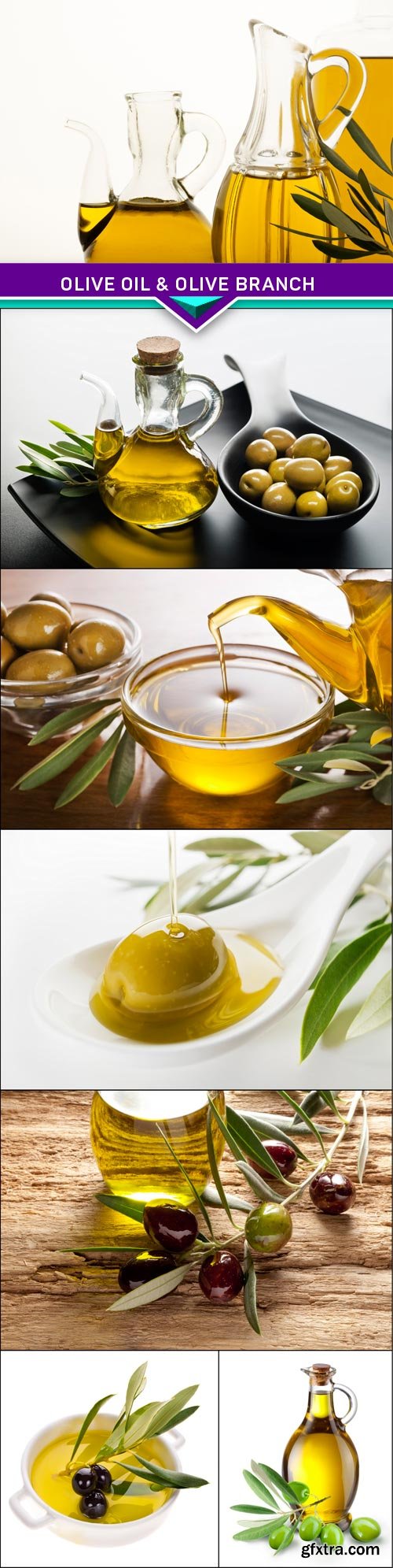 Olive oil &amp; olive branch 7x JPEG