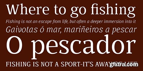 Buozzi Font Family 8 Fonts $200