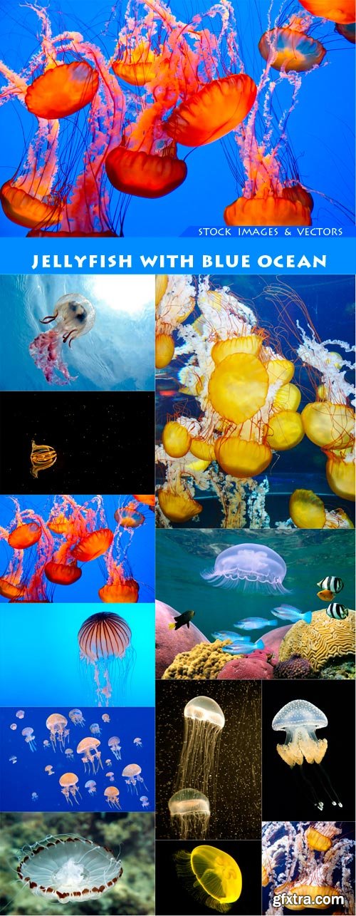 jellyfish with blue ocean 12X JPEG