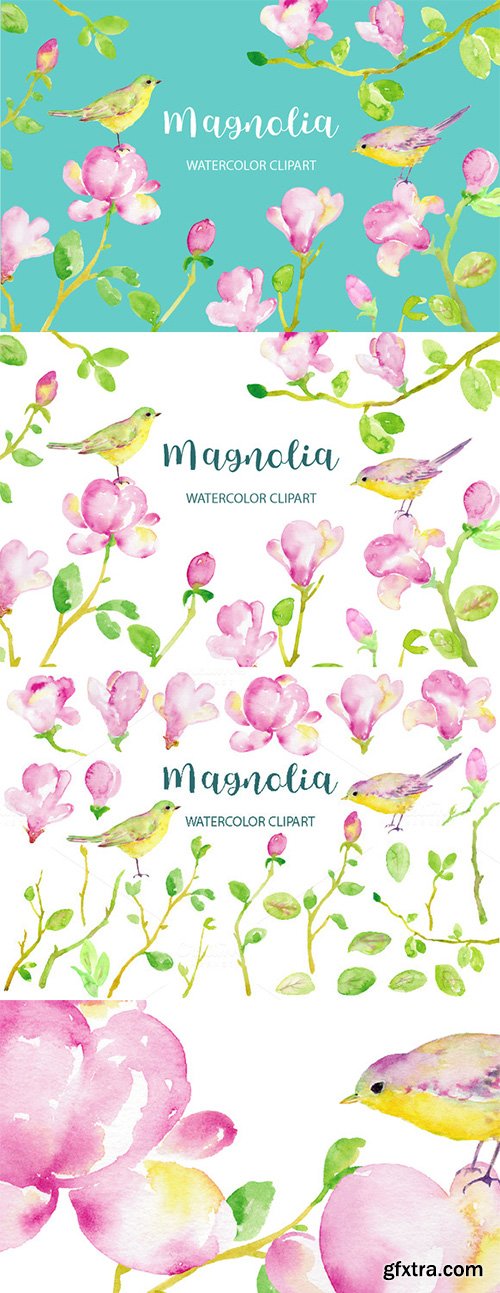 Creativemarket Watercolor Clipart Magnolia 476453