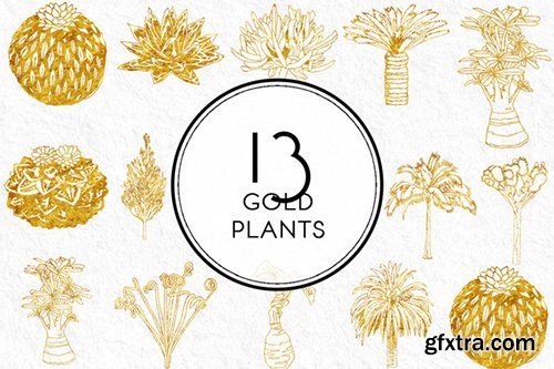 Creativemarket Gold Plants 476252