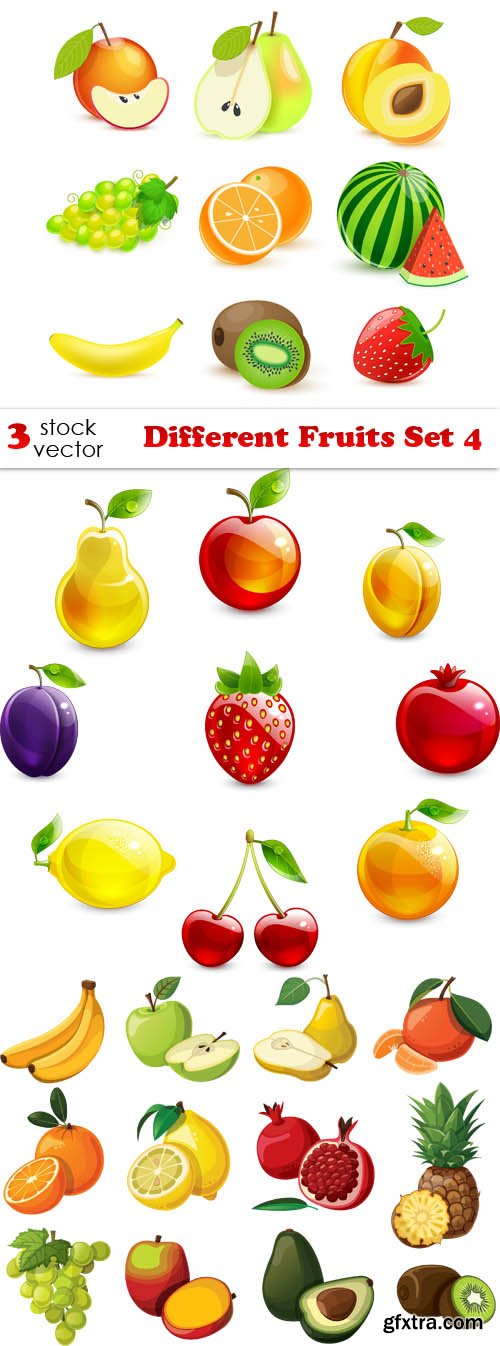 Vectors - Different Fruits Set 4