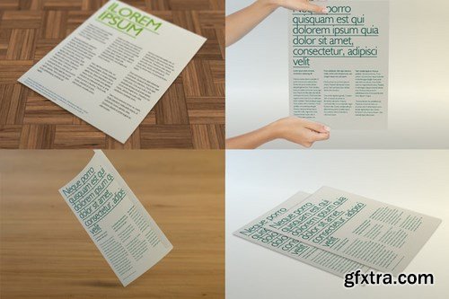 CM - Multipurpose Letter Flyer Mockup 16824