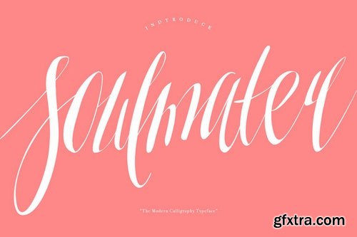 New Year Bundle, 24 Fonts 486187