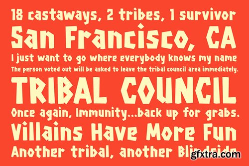 CreativeMarket Survivor Display Font 489584