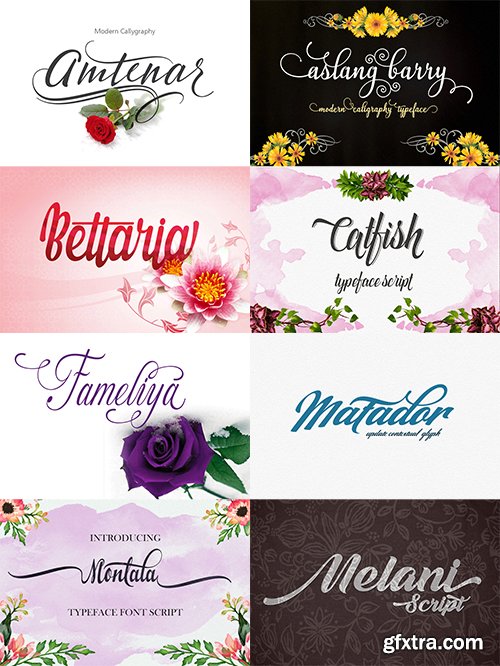 The Typeface Bundle with 10 Beautiful Fonts