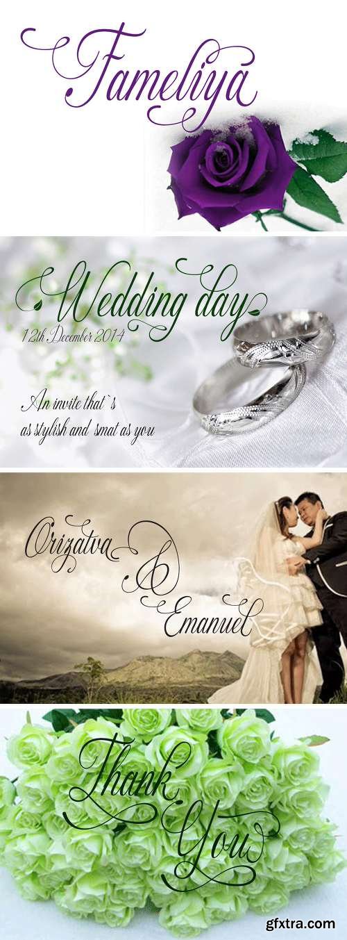 The Typeface Bundle with 10 Beautiful Fonts