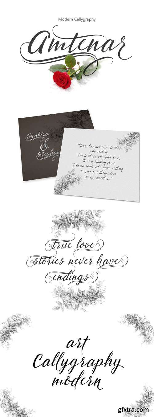 The Typeface Bundle with 10 Beautiful Fonts