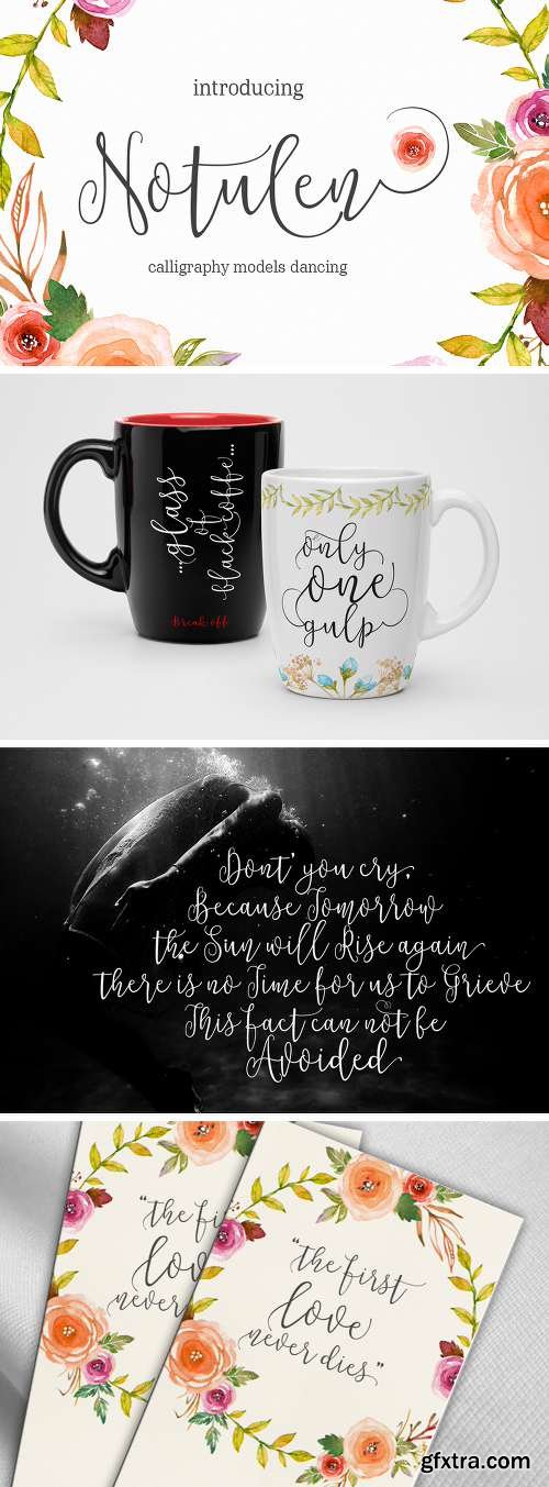The Typeface Bundle with 10 Beautiful Fonts