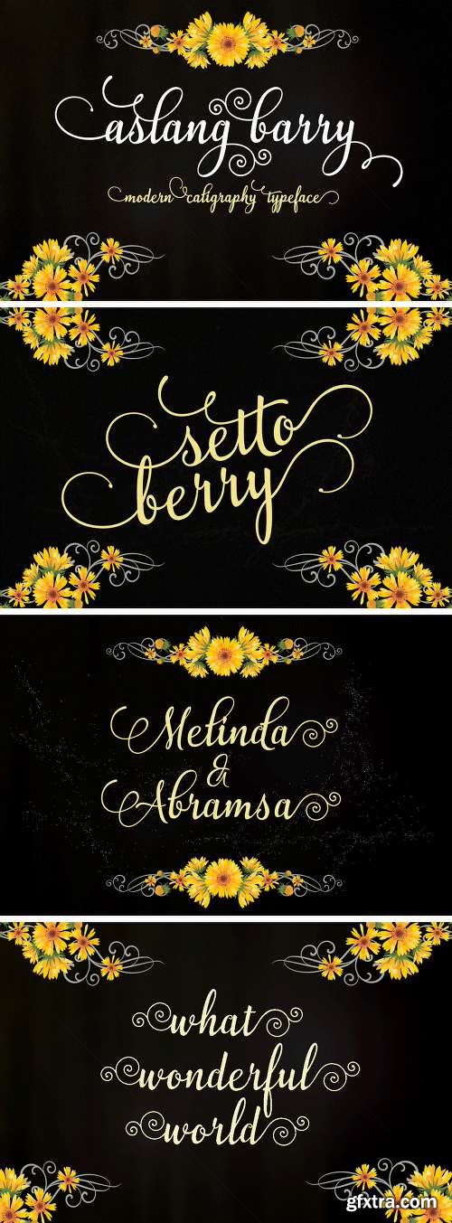 The Typeface Bundle with 10 Beautiful Fonts