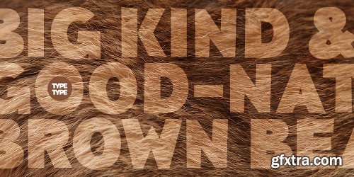 TT Pines Font Family 10 Fonts $200