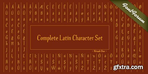 Nitaah One Font Family 4 Fonts $200