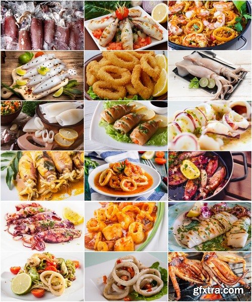 Collection of fried squid delicacy seafood dish 25 HQ Jpeg