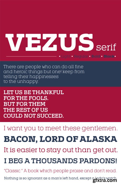 Vezus Serif Font Family $110