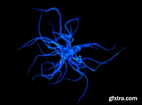 Collection of neuronal cells 3d render of the nervous system 25 HQ Jpeg