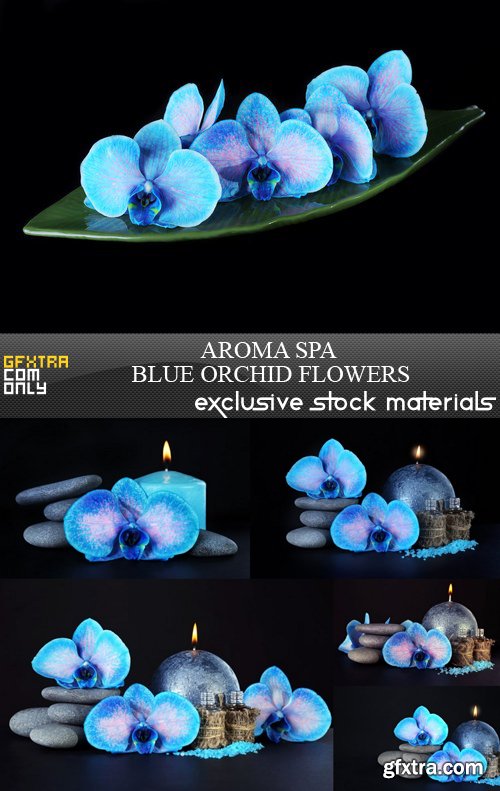 Aroma Spa Blue Orchid Flowers - 6 UHQ JPEG