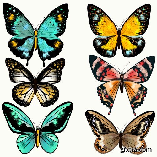 Set of realistic colorful butterflies 10X EPS