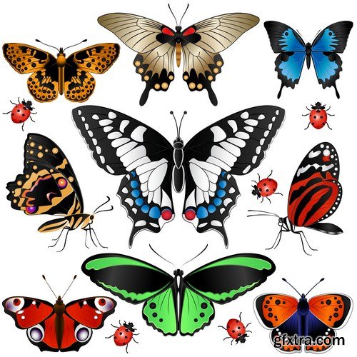 Set of realistic colorful butterflies 10X EPS