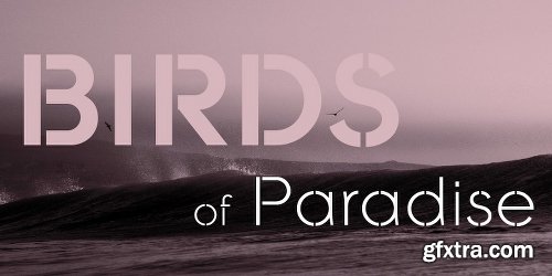 Galeb Stencil Font Family 5 Fonts $125