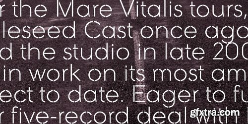 Galeb Stencil Font Family 5 Fonts $125