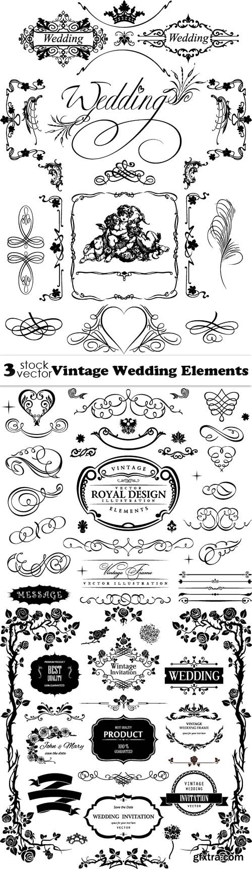 Vectors - Vintage Wedding Elements