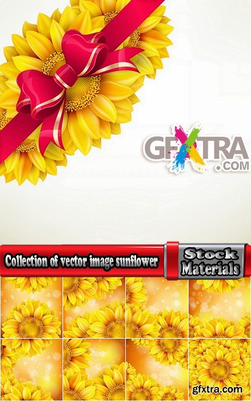Collection of vector image sunflower flower plant nature 25 EPS