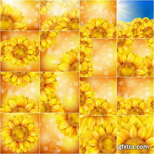 Collection of vector image sunflower flower plant nature 25 EPS