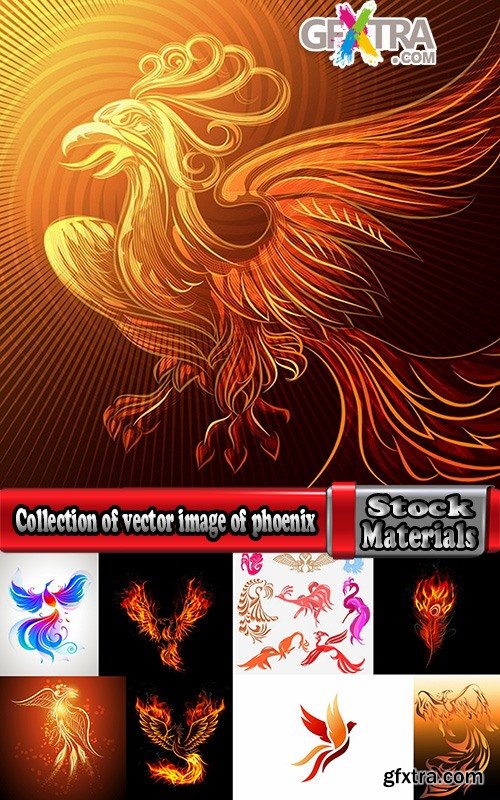 Collection of vector image of phoenix bird fire revival flight 25 EPS