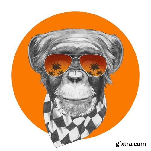 Collection of vector image background is a monkey 25 EPS